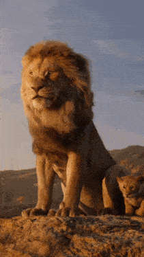 a lion and a cub sitting on top of a rock