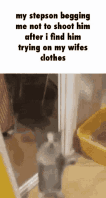 a cat standing in a doorway with a caption that says " my stepson begging me not to shoot him "