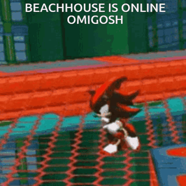 shadow the hedgehog in a video game with the words beachhouse is online omigosh above him