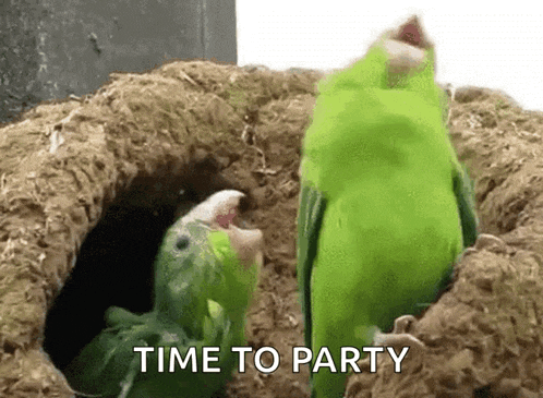 two green birds are standing in a hole with the words time to party written above them