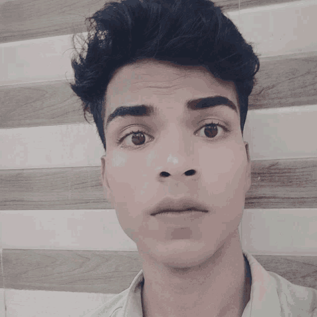 a young man with dark hair and brown eyes looks at the camera