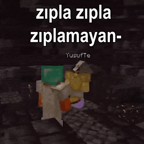 a couple of minecraft characters standing next to each other on a rock with the words zipla zipla ziplamayan written above them .
