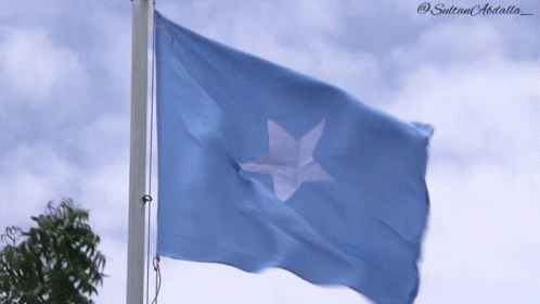 Somalia Somalia Flag GIF - Somalia Somalia Flag Flag GIFs