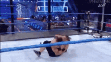 a wrestler is laying on the ground in a wrestling ring during a match .