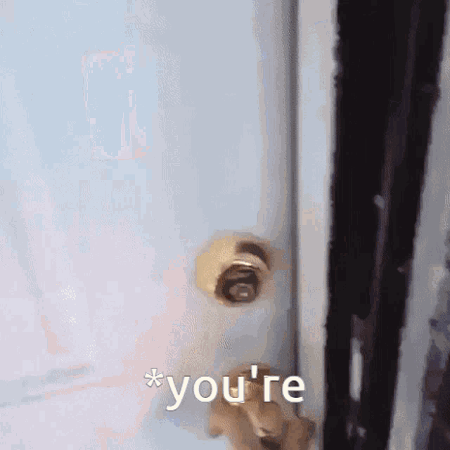 a close up of a door with the word you 're written on it