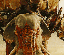 Oliphant Lord Of The Rings GIF - Oliphant Lord Of The Rings Haradrim GIFs