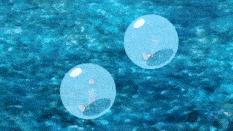 two bubbles are floating in the water and one has a person inside of it