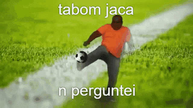 Jaca João GIF - Jaca João Ednaldo Pereira GIFs