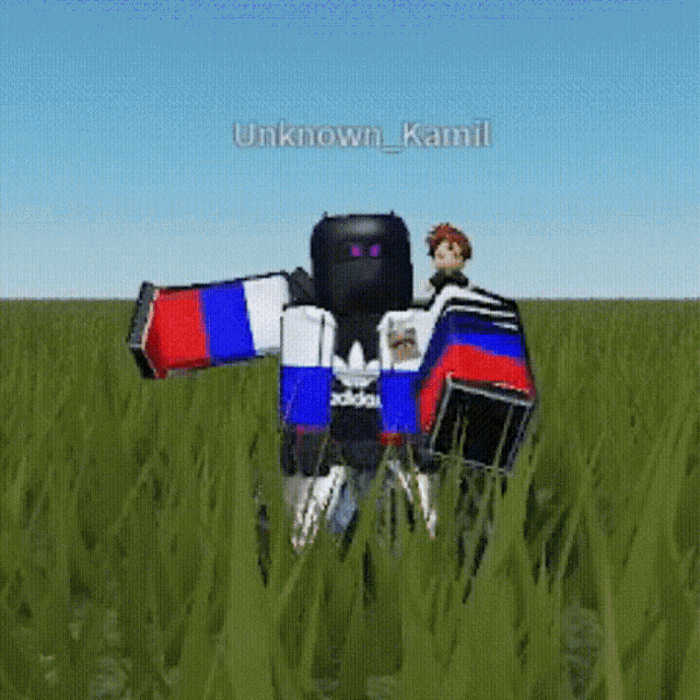 a robot in a field with the name unknown_kamil
