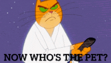 a cartoon cat holding a cell phone with the words now who 's the pet