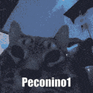 a pixelated image of a cat with the name pecolino1 written below it