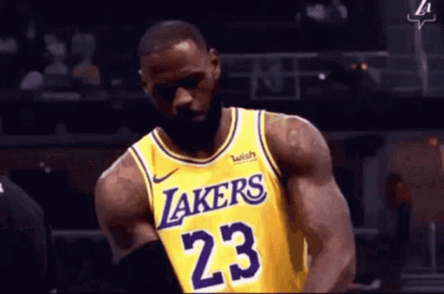 a basketball player wearing a lakers jersey with the number 23 on it