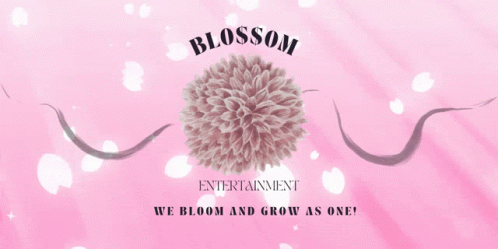 Bloom Blossom GIF - Bloom Blossom Blooming GIFs