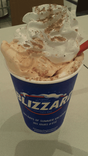 a cup that says blizzard 365 days of summer vacation on it
