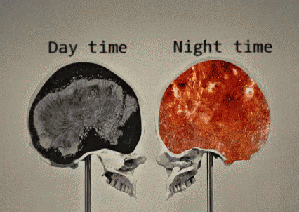two skulls are shown with the words day time and night time above them