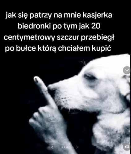 a black and white photo of a dog making a gesture with its finger