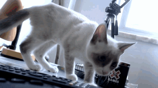 a cat standing on top of a remote control next to a black box that says games