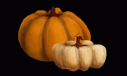 Autumn Halloween GIF - Autumn Halloween Pumpkin GIFs