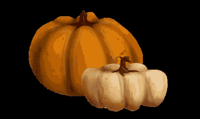 a large orange pumpkin and a smaller white pumpkin are on a black background