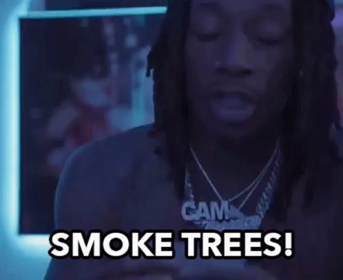 Smoke Trees Smoke GIF - Smoke Trees Smoke Trees GIFs