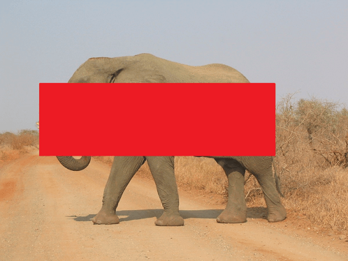 Elephant Red GIF - Elephant Red GIFs