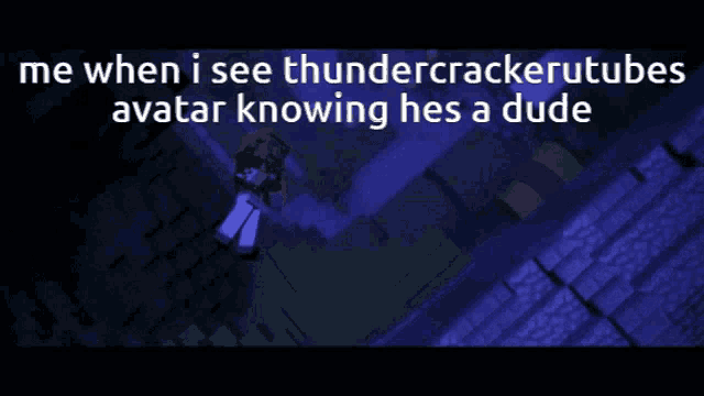 a screenshot of a video game that says me when i see thundercrackertubes avatar knowing