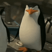 a penguin from madagascar is standing next to another penguin .