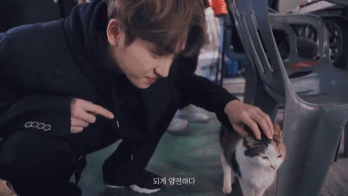 Sangyeon Theboyz Sangyeon Stroking A Cat GIF - Sangyeon Theboyz Sangyeon Stroking A Cat Sangyeon With Cat GIFs