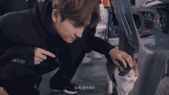 a man petting a cat while wearing a black jacket with the word audi on the sleeve
