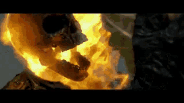 a skull is surrounded by flames in a video game .
