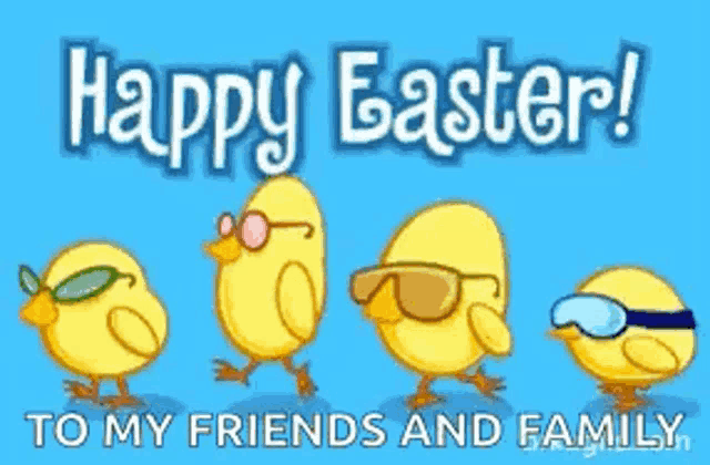 a happy easter card with four chickens wearing sunglasses