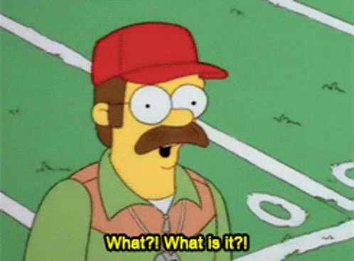 Ned Flanders What GIF - Ned Flanders What What Is It GIFs