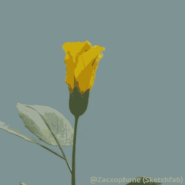 Adinodine Zacxophone GIF - Adinodine Zacxophone Flower GIFs