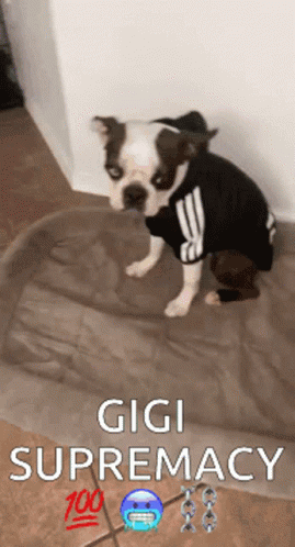 Gigi Detknee GIF - Gigi Detknee Supremacy GIFs