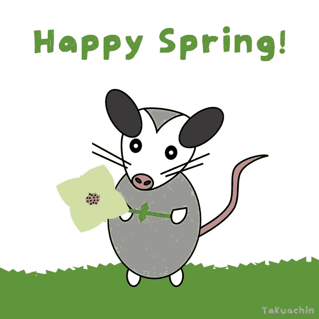 a drawing of an opossum holding a flower with the words happy spring