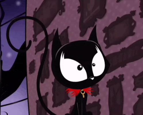 a black cat with a red bow around its neck