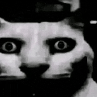 a black and white photo of a cat wearing a hat and glasses .