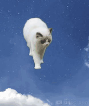 a white cat is flying through the air with urscreen written on the bottom