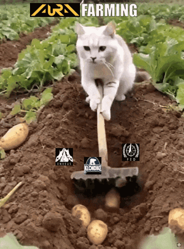 a white cat is digging potatoes with a shovel and the words farming written above it