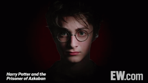 Harry Potter - Transformations - Daniel Radcliffe GIF - Harry Potter Transformation Daniel Radcliffe GIFs