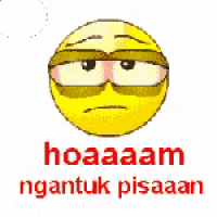 a yellow smiley face with sunglasses and the words hoaaam ngantuk pisaaan on the bottom