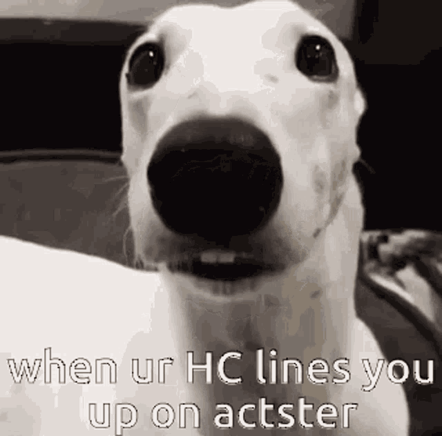 Actster Ofl GIF - Actster Ofl Actster4hc GIFs