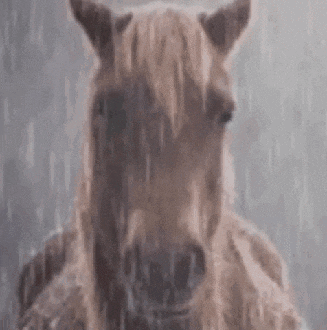 a woman is riding a white horse in the rain while wearing a black jacket .