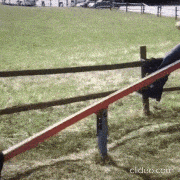 a horse jumping over a wooden fence with the website clideo.com in the lower right corner