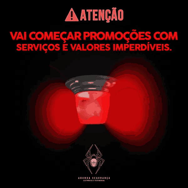 an advertisement for a company called aranha segurança