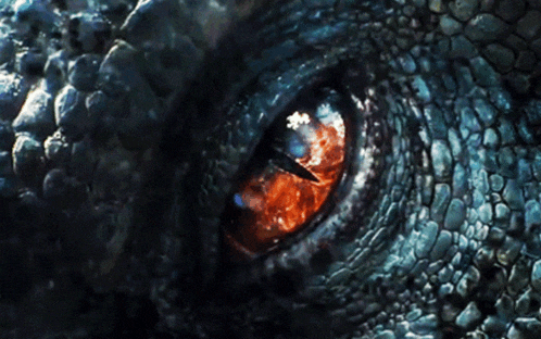 a close up of a lizard 's eye with a red eye