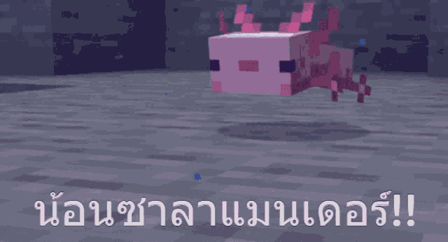 a pink axolotl in a video game with a foreign language caption