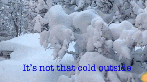 Cold Snow GIF - Cold Snow Day GIFs