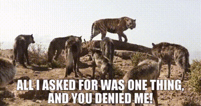 The Jungle Book Shere Khan GIF - The Jungle Book Shere Khan All I Asked For Was One Thing GIFs