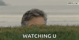 a man is peeking out from behind a lush green field and says `` watching u '' .